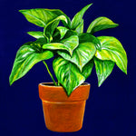 Load image into Gallery viewer, Plant Shop
